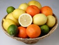 Different fresh citrus fruit