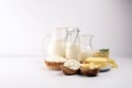 Different healthy dairy products on rustic background with milk, cheese, butter and cottage