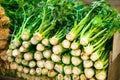 Different fresh green vegetables and herbs on outdoor display on market pace of Tel Aviv, Israel. Selective focus, space for text.