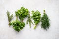 Different fresh herbs on gray background. Healthy ingredients