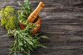 Different fresh herbs with mortar on wooden background Royalty Free Stock Photo