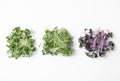 Different fresh microgreens isolated on white, top view