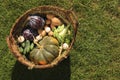 Different fresh ripe vegetables in wicker basket on grass, above view. Space for text Royalty Free Stock Photo