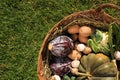 Different fresh ripe vegetables in wicker basket on grass, top view. Space for text Royalty Free Stock Photo