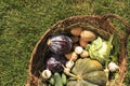 Different fresh ripe vegetables in wicker basket on green grass, top view Royalty Free Stock Photo