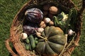 Different fresh ripe vegetables in wicker basket on green grass, top view Royalty Free Stock Photo