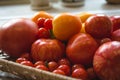 Different freshly picked organic tomatoes from the garden