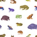 Different frogs and toads pattern. Seamless froggy background with realistic amphibian animals, repeating nature print Royalty Free Stock Photo