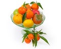 Different fruits in vintage fruit vase and tangerines on branch Royalty Free Stock Photo