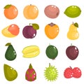 Different fruits of the world color flat icons set