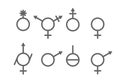 Different gender isolated, LGBTQ set. Transgender, non-binary person, agender, androgyne, genderqueer signs. Concept of Royalty Free Stock Photo