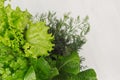 Different green sheaves greens for spring salad on white wooden background, top view.