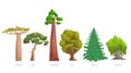 Different green trees set. Cartoon trendy style. Baobab, pine, redwood, oak, spruce and willow. Vector illustrations