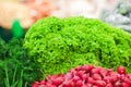 Shelf with different green vegetables