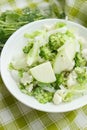 Different green and white, fresh, raw vegetables in the white bowl Royalty Free Stock Photo