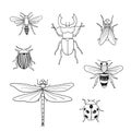 Different hand drawn doodle insects