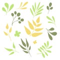 Different hand-drawn tree leaves set. Hand sketched flat elements collection for your design Royalty Free Stock Photo