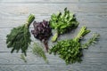 Different herbs on wooden background, top view Royalty Free Stock Photo