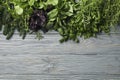 Different herbs on gray wooden background, top view Royalty Free Stock Photo