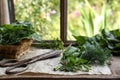 Different herbs and rusty scissors on window sill indoors Royalty Free Stock Photo