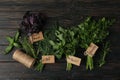 Different herbs on background, top view Royalty Free Stock Photo