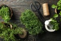 Different herbs on wooden background, top view Royalty Free Stock Photo