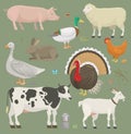 Different home farm vector animals and birds like cow, sheep, pig, duck farmland set illustration Royalty Free Stock Photo