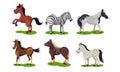 Different Horse Breeds Standing On The Ground Vector Set