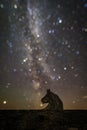 A different horse head nebula