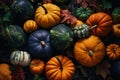 Different hues and strains of pumpkin displayed against fallen leaves . Generative Ai