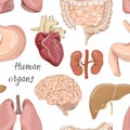 Different human organs set pattern Royalty Free Stock Photo