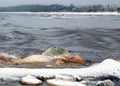 different ice formations on rocks on the seashore, ice texture, wind, water and ice working together Royalty Free Stock Photo