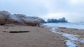 different ice formations on rocks on the seashore, ice texture, wind, water and ice working together Royalty Free Stock Photo