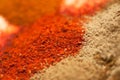 Different indian Curry spices Royalty Free Stock Photo