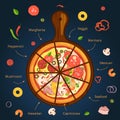 Different ingredients of classical italian pizza. Delicious food illustration. Vector infographics