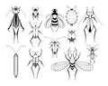 Different insects with patterns on wings. Butterflies and bugs set. Vector biology illustrations