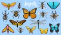 Different insects set. Butterfly and dragonfly, bug and pet bee. Mystical symbol of freedom. entomological collection Royalty Free Stock Photo