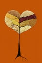 Different kind of cereals, grain and seeds, setting in the heart shape drawn tree on coral background.