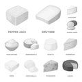 Different kind of cheese monochrome icons in set collection for design.Milk product cheese vector symbol stock web