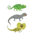 Different kind of lizards icons set. Royalty Free Stock Photo