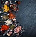 Different kind of spices in vintage spoons Royalty Free Stock Photo