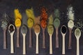 Different kind of spices on a wood background. Royalty Free Stock Photo