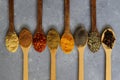 Different kind of spices on a wood background. Royalty Free Stock Photo