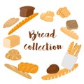 Different kinds of bread set for cafe menu. Collection of pastry or bakery items isolated on white for print or web. Cartoon bread