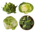 Different kinds of cabbage in a wooden bowl. Broccoli, Brussels sprouts, Roman cauliflower, green cabbage isolated on white backgr Royalty Free Stock Photo