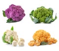 Different kinds of cauliflower cabbage on white background