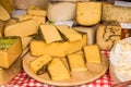 Different kinds of cheese for sale on farmer`s market