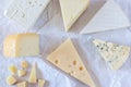 Different kinds of cheeses on paper Royalty Free Stock Photo