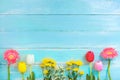 Different kinds of colorful flowers in line on blue wooden background.