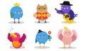 Different Kinds Of Baby Birds Vector Illustrations Set Cartoon Character Royalty Free Stock Photo